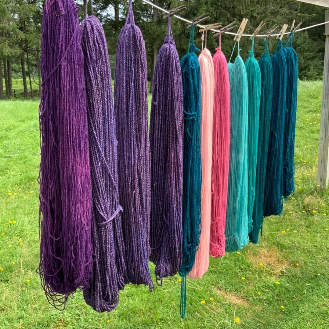 Spring Valley Farm cool colors of yarns drying (1)